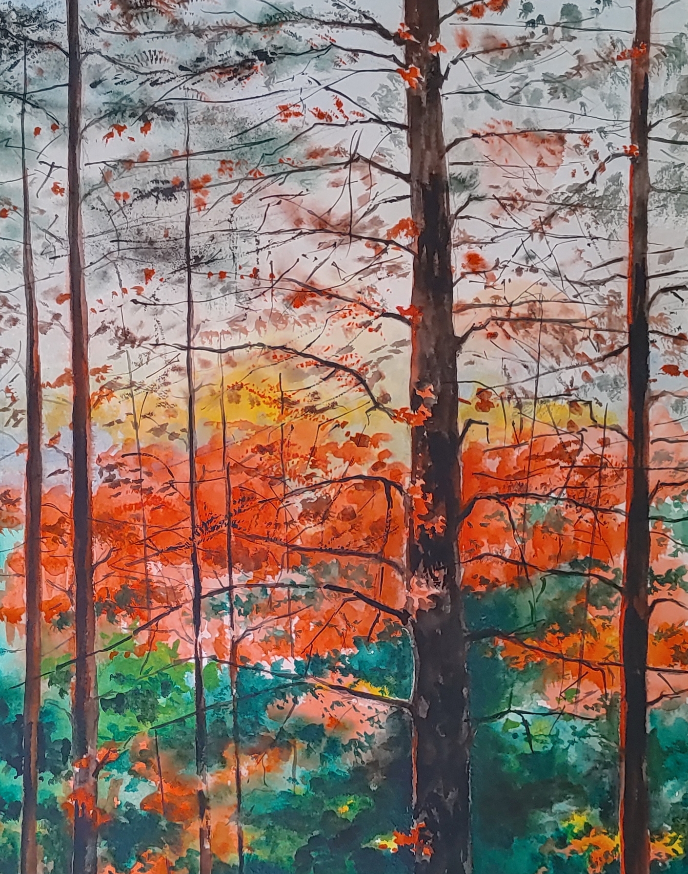 Obra 1